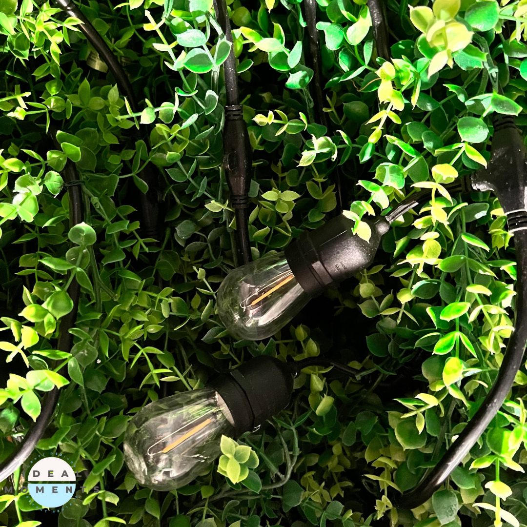 Indoor/Outdoor String Light with Boxwood Greenery