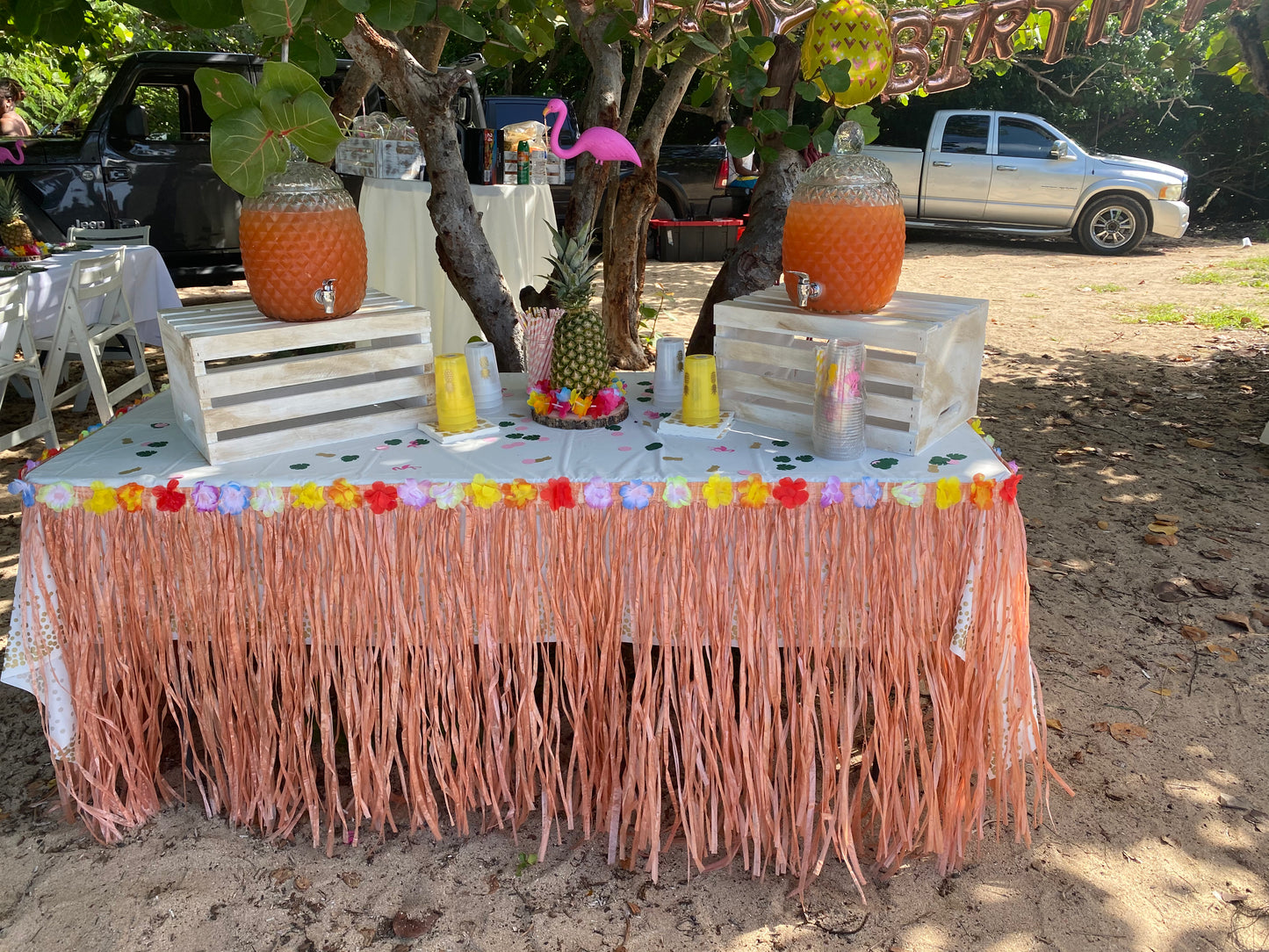 Pineapple Beverage Dispenser